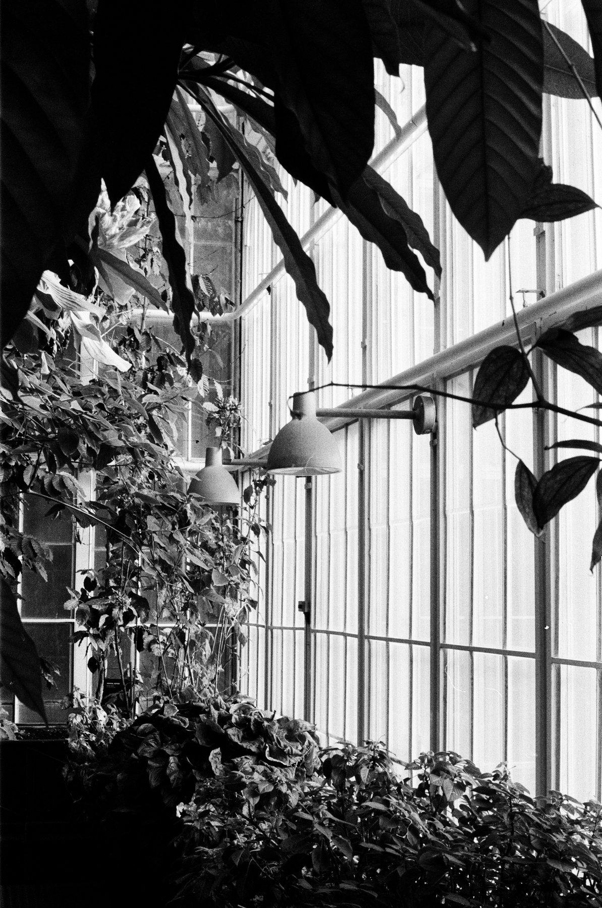 Black and white greenhouse interior with hanging lamps, Helsinki, Finland