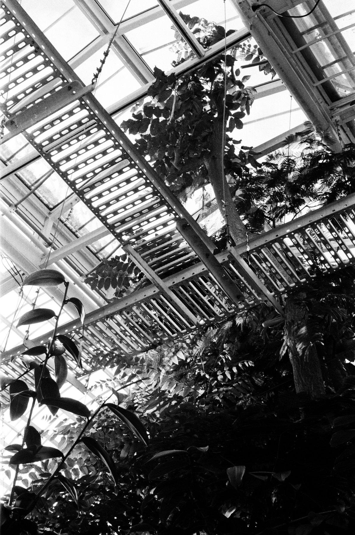 Black and white greenhouse ceiling structure with plants, Helsinki, Finland